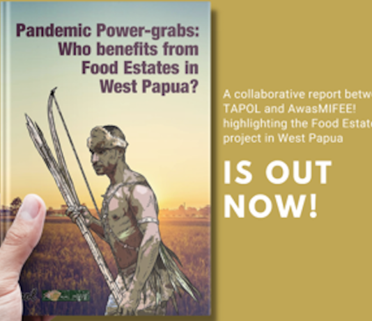 Indonesia's food estates land grab