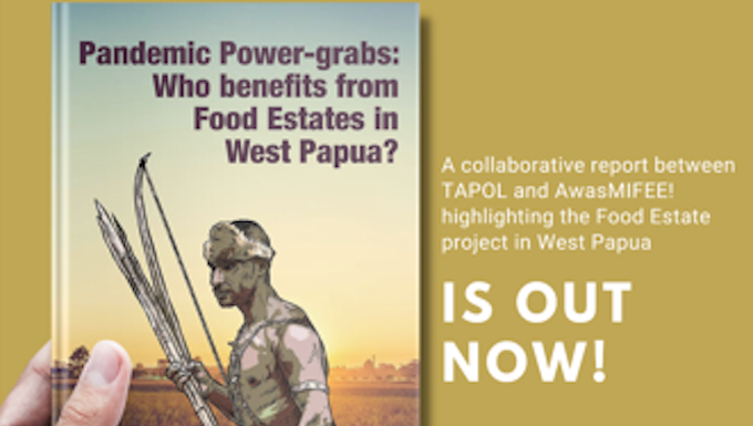 Indonesia's food estates land grab