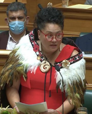 Labour MP Louisa Wall