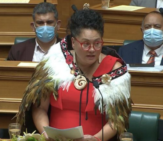 Labour MP Louisa Wall