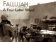 Flashback to Fallujah 2003