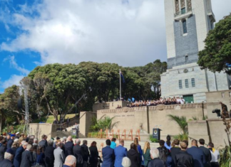 The Anzac Day ceremony at the Wellington war memorial