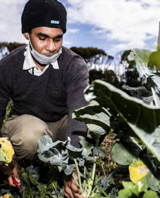 Papuan student Arnold Yoman at Awatapu College