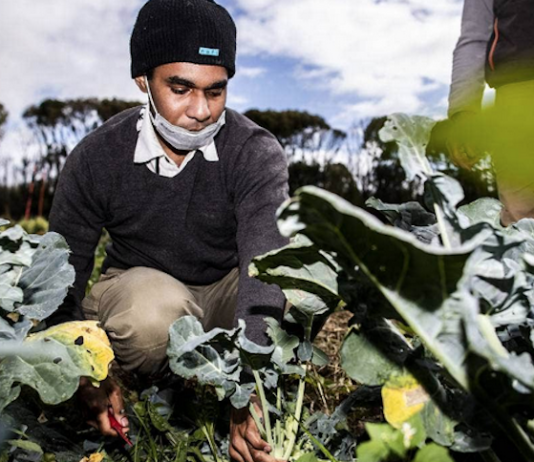 Papuan student Arnold Yoman at Awatapu College