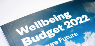 NZ Budget 2022