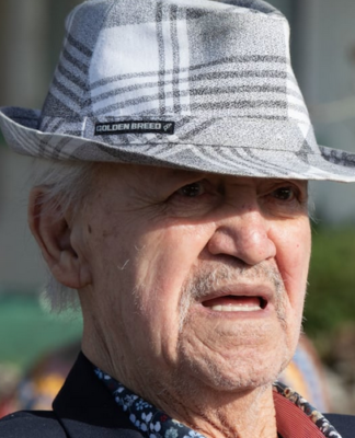 Kaumātua and activist Joe Hawke