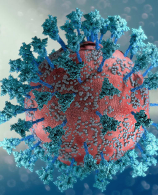 Niue enters covid-19 red alert level as case numbers rise to nine Covid-19 in Niue