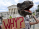 The question for pro-choice supporters