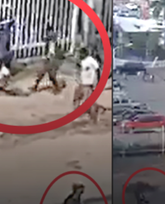 Armed PNG election supporters cause chaos in capital, attack bystanders Screenshots of the Waigani attack yesterday 240722