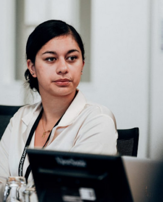 Māori councillors condemn racism faced in NZ local government role Wellington Councillor Tamatha Paul