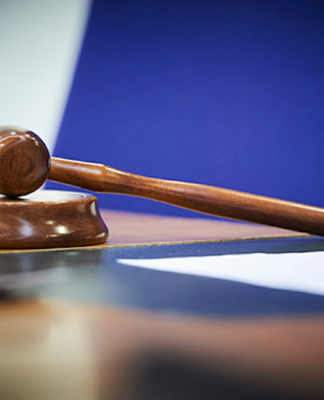 The European Court of Human Rights