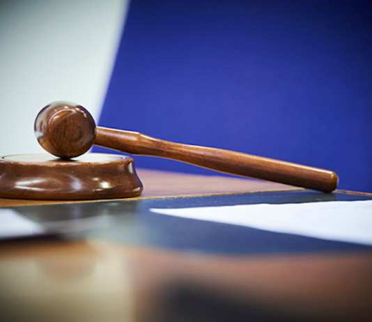 The European Court of Human Rights