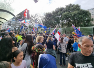 Auckland city protesters