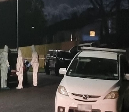 Police and forensic experts load the two bodies of children into a vehicle at a Clendon Park property
