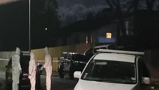 Police and forensic experts load the two bodies of children into a vehicle at a Clendon Park property