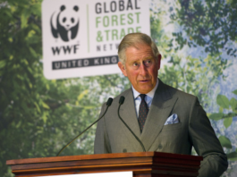King Charles III ... Upon his elevation to the throne, the new king is expected to be less outspoken on environmental issues