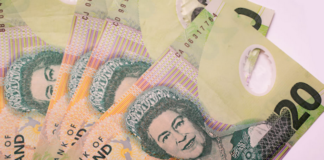 NZ $20 bank notes