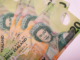 NZ $20 bank notes