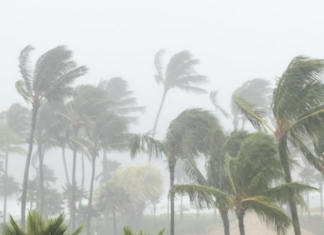 Pacific cyclones