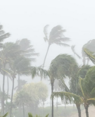 Pacific cyclones