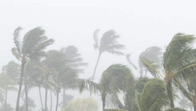 Pacific cyclones