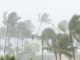 Pacific cyclones