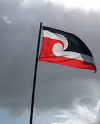 Tino Rangatiratanga flag