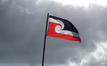 Dominic O’Sullivan: The role of Te Tiriti in boosting local government Tino Rangatiratanga flag