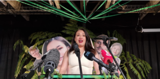 New Wellington mayor-elect Tory Whanau