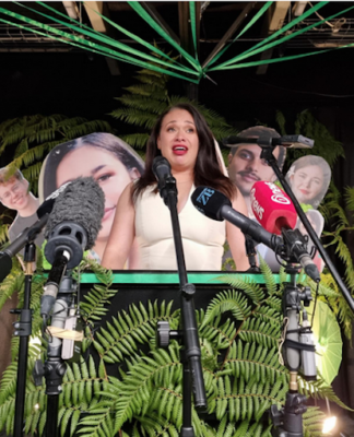 New Wellington mayor-elect Tory Whanau