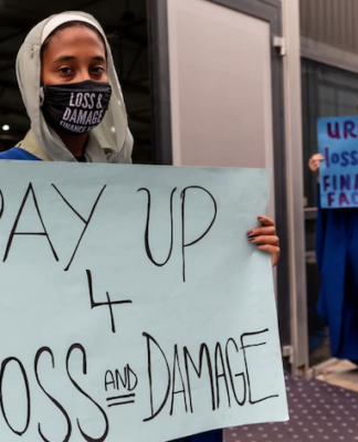 Protesters make a point to delegates at COP27 in Egypt