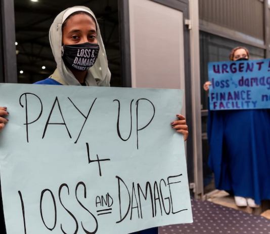 Protesters make a point to delegates at COP27 in Egypt