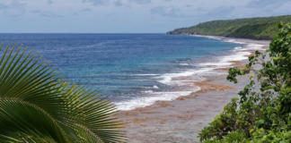 Niue . . . a new chapter in the covid-19 response