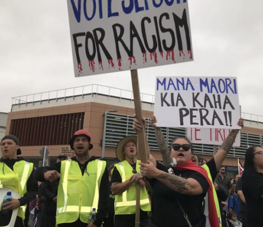 A hīkoi in Dargaville was held amid the stoush between Kaipara Mayor Craig Jepson and Māori ward councillor Pera Paniora