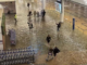 Flooding at Auckland International Airport