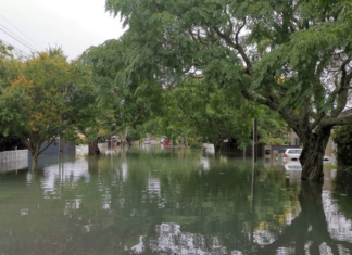 Four deaths in New Zealand following Friday's floods