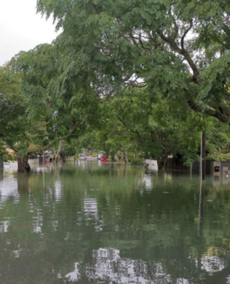 Four deaths in New Zealand following Friday's floods