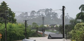 Torrential rain lashes West Auckland