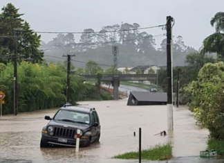 Torrential rain lashes West Auckland