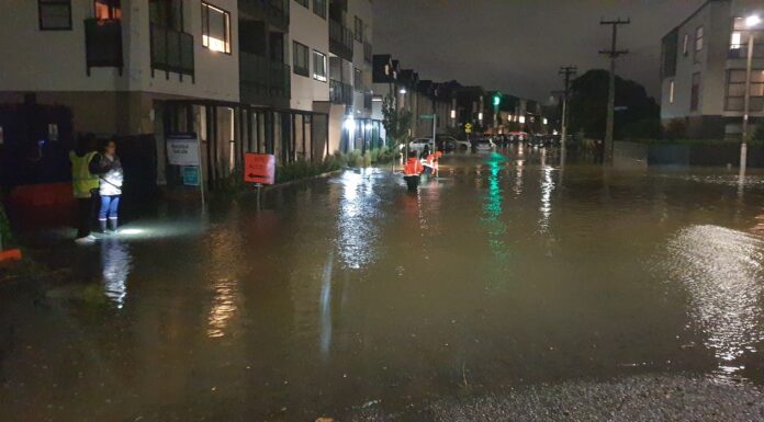 Gallery: Massive volunteer effort in tackling Auckland’s floods
