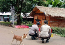 Police gather evidence near the site of a bomb explosion that took place outside the house of Jubi editor Victor Mambor
