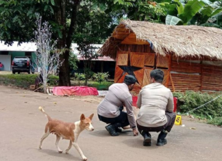 Police gather evidence near the site of a bomb explosion that took place outside the house of Jubi editor Victor Mambor
