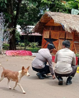 Police gather evidence near the site of a bomb explosion that took place outside the house of Jubi editor Victor Mambor