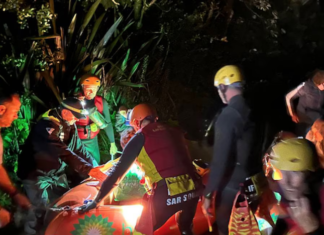 Volunteer rescuers from Auckland's Muriwai lifeguard squad