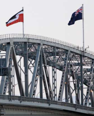 Ardern won’t back down on Māori advance if co-governance made key election issue The Tino Rangatiratanga flag