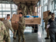 Thousands without power, evacuations begin as Cyclone Gabrielle hits NZ NZ Defence Force soldiers distributing food and supplies