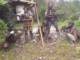 West Papua National Liberation Army fighters