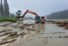 Farmers near Tolaga Bay face forestry slash damage