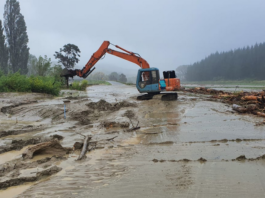 Farmers near Tolaga Bay face forestry slash damage
