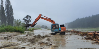 Farmers near Tolaga Bay face forestry slash damage